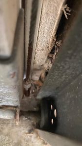 Garage Door Repair Elmwood, NE
