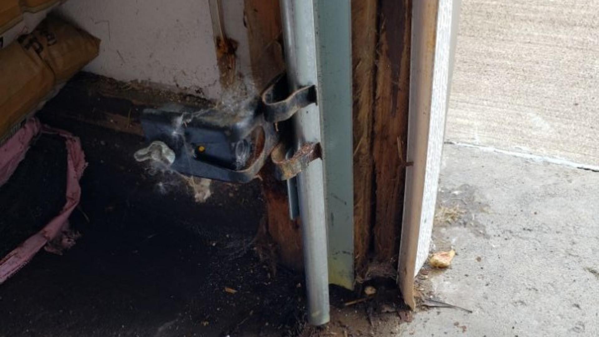 Garage Door Repair Arlington, NE